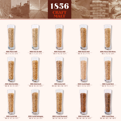CraftMalt