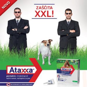 ataxxa